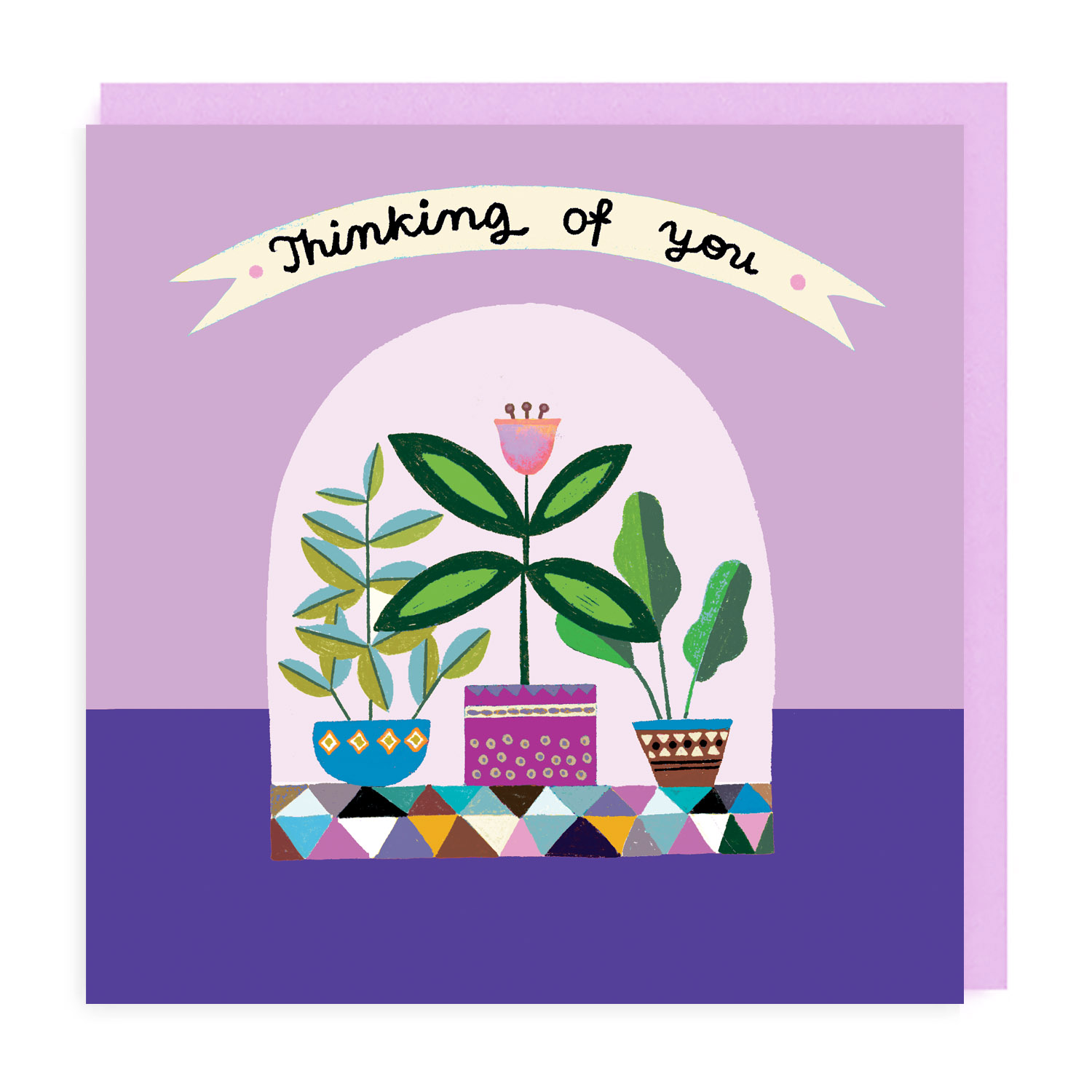 Thinking of You Plants 6 pack